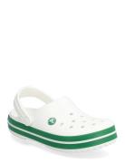 Crocs Crocband Clog K Vit