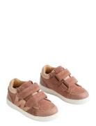 Wheat Sneaker Walther Rosa