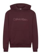 Calvin Klein Ls Eu Standard Logo 350Terry Po Burgundy