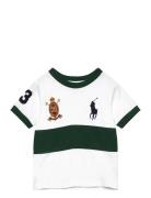 Ralph Lauren Kids Big Pony 20Th Anniversary Crest Tee Vit