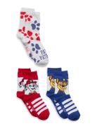 Paw Patrol Socks Multi/patterned