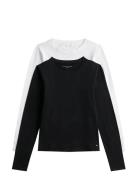 Tommy Hilfiger 2 Pack Ls T-Shirt Multi/patterned