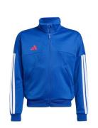 Adidas Sportswear J Hot Ttop Blå