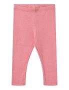 Wheat Rib Leggings Maddy Rosa