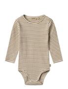 Wheat Body L/S Berti Beige