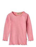 Wheat Rib T-Shirt L/S Reese Rosa