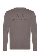 Armani Exchange T-Shirt Brun