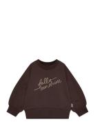 Petit Piao Ppdina Sweat Shirt Brun