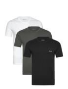 BOSS Tshirtrn 3P Classic Multi/patterned