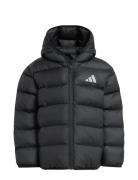 Adidas Sportswear Lk Sd Jkt Svart