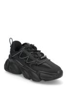 Steve Madden Spectator Svart