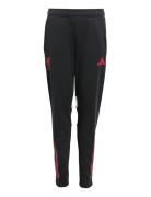 Adidas Performance Lfc Tr Pnt Y Svart