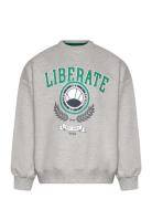 The New Tnpenno Os Sweatshirt Grå
