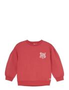 Daily 7 Sweater Brushed Print Röd