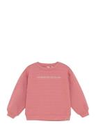 Daily 7 Over D Sweater Backprint Rosa