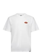 Dickies M Graysville Tee Ss Vit