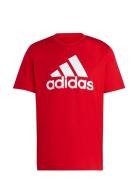 Adidas Sportswear M Bl Sj T Röd