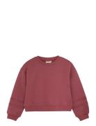 En Fant Sweatshirt Ls Röd