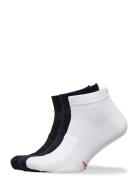 Danish Endurance Low Cut Cycling Socks 3 Pack Vit