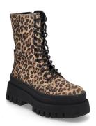 Steve Madden Coast Brun