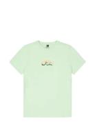 PICTURE ORGANIC CLOTHING Basement Tee W Grön