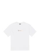 PICTURE ORGANIC CLOTHING Omii Tee Vit
