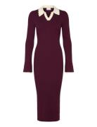 Noella Livvy Knit Dress Burgundy