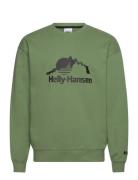 Helly Hansen Yu Crew Sweater 2.0 Grön