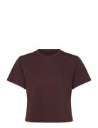 Björn Borg Borg Cropped T-Shirt Brun