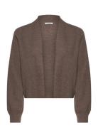 Claire Woman Knit Cwceline Brun