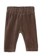 Minymo Pants Velour Brun