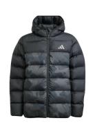 Adidas Sportswear J Sd Aop Jkt Svart
