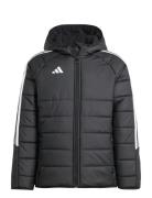 Adidas Performance Tiro24 Wintjkty Svart