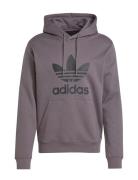 Adidas Originals Trefoil Hoody Lila