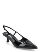 Steve Madden Legaci Svart