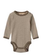 Wheat Wool Body L/S Lucca Beige