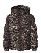 The New Tnpuffa Jacket Brun
