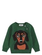 Molo Bless Khaki Green