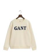 GANT Graphic C-Neck Sweat Kräm