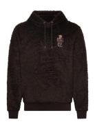 Polo Ralph Lauren Curly Hi-Pile-Lsl-Sws Brun