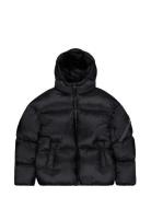 Alpha Industries Cloud Puffer Bomber Svart