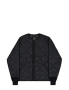 Alpha Industries Studio Liner Svart