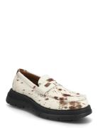 Steve Madden Raiden Brun