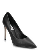Steve Madden Thrive Svart