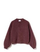 Noella Kae Knit Burgundy