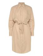 BOSS C_Delegant_1 Beige