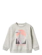 Wheat Sweatshirt L/S Ellis Grå