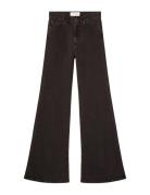 Jeanerica Fuji Brun