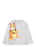 Bluey Tshirt Grå