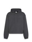 Calvin Klein L/S Hoodie Grå